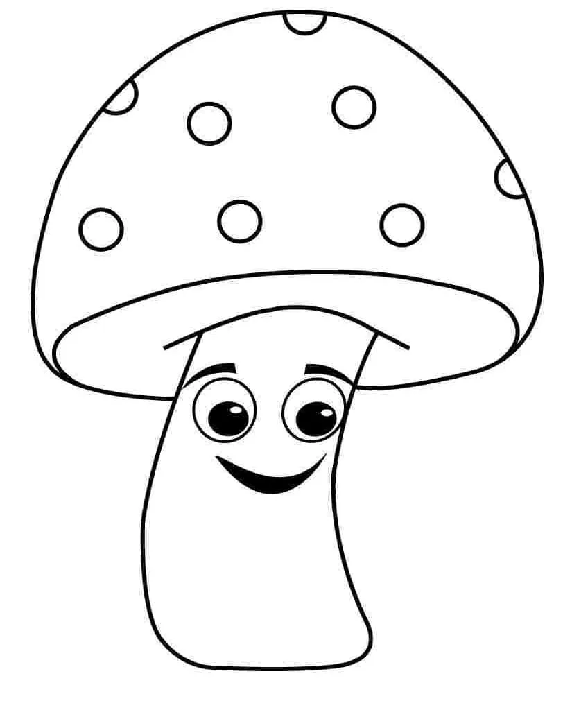 Champignon 9